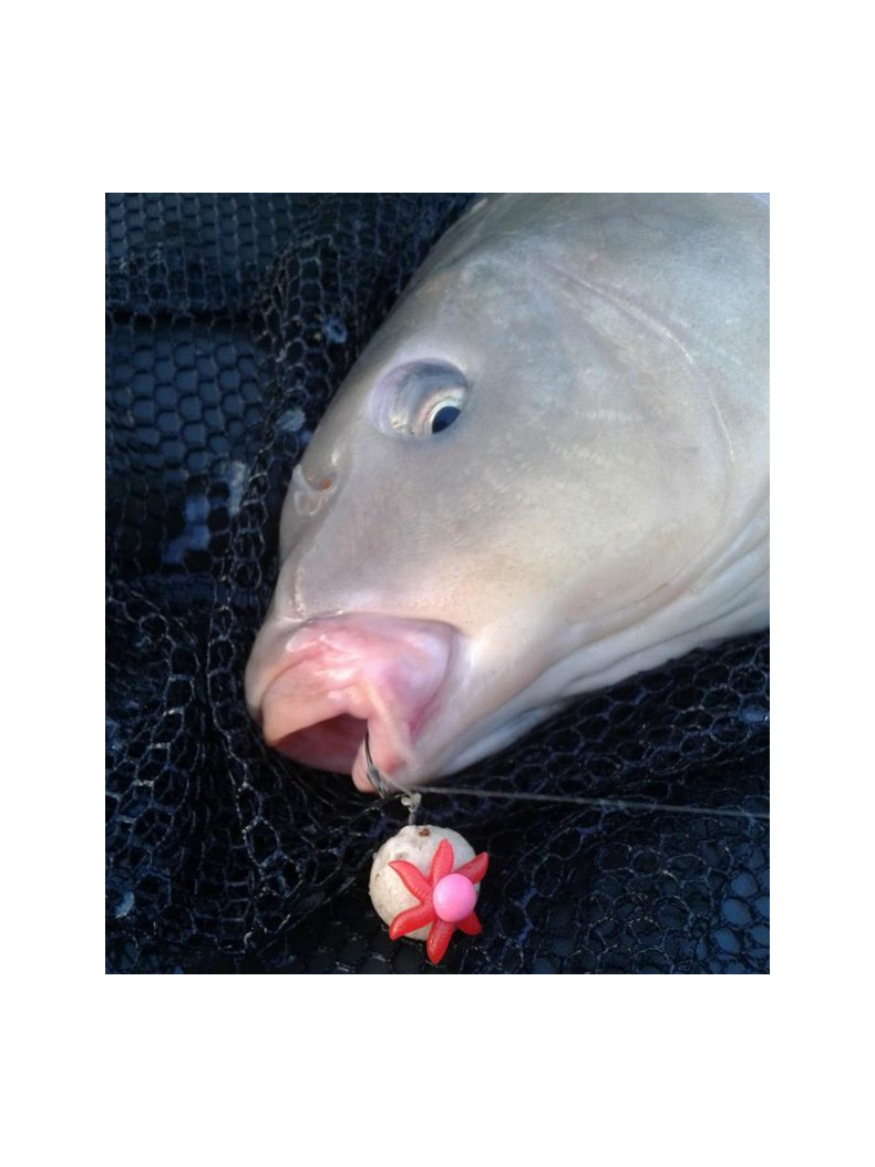 Искусственная плавающая приманка EVOLUTION CARP TACKLE Maggot Ball Clusters WHITE, изображение 6