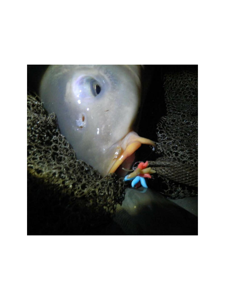 Искусственная плавающая приманка EVOLUTION CARP TACKLE Maggot Ball Clusters Washed out PINK, изображение 7