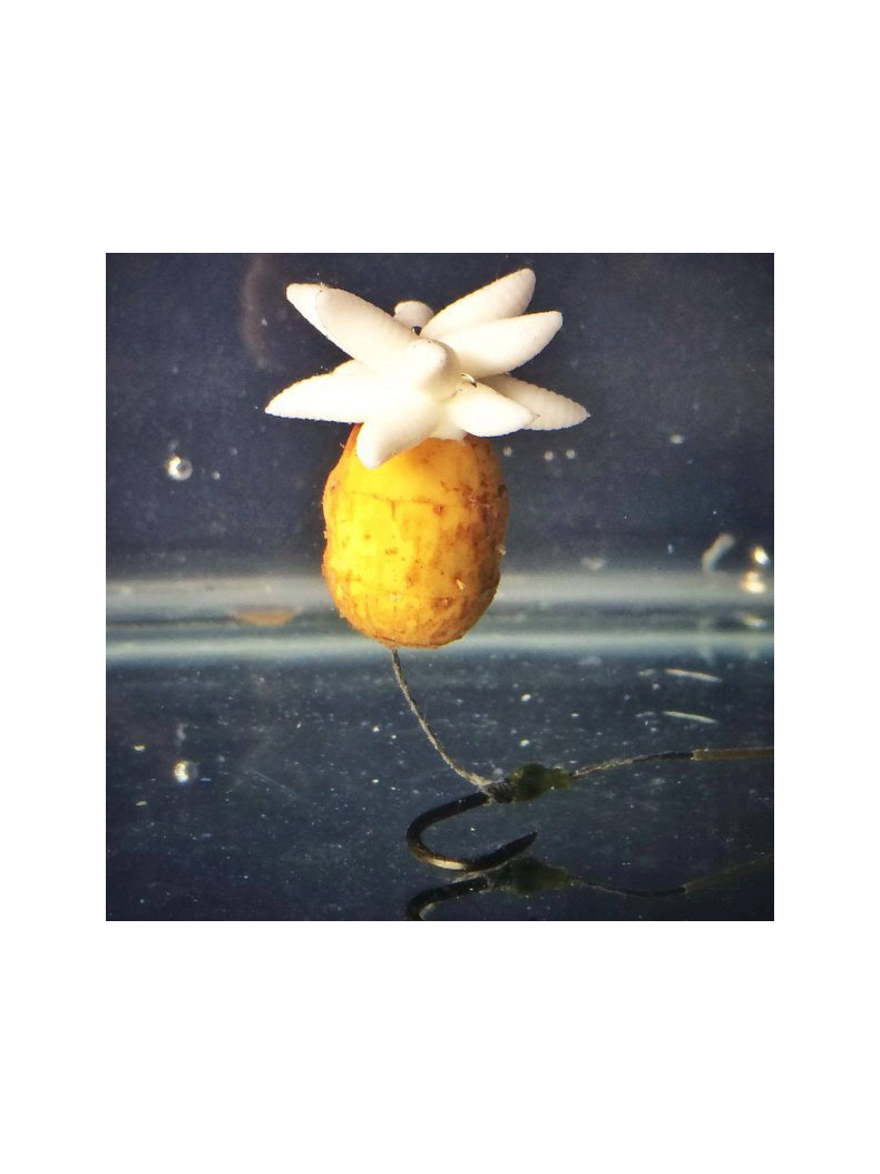 Искусственная плавающая приманка EVOLUTION CARP TACKLE Maggot Plugs RED, изображение 6