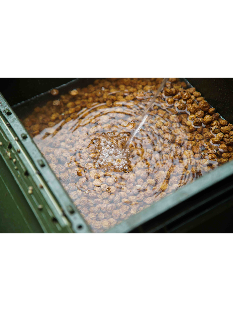 Тигровый орех Carptoday Tiger Nut, Вес: 5 кг, изображение 4 Тигровый орех Carptoday Tiger Nut, Вес: 5 кг, изображение 4