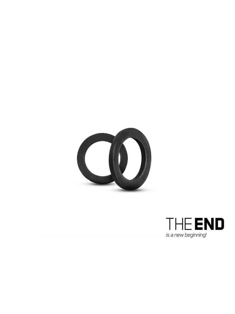 Кольцо металлическое DELPHIN THE END Round Ring