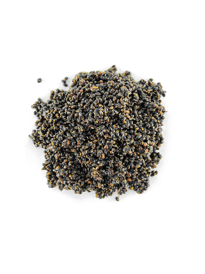 Конопля натуральная варёная Carptoday Baits 1кг, Тип зерновых: Конопля Конопля натуральная варёная Carptoday Baits 1кг, Тип зерновых: Конопля
