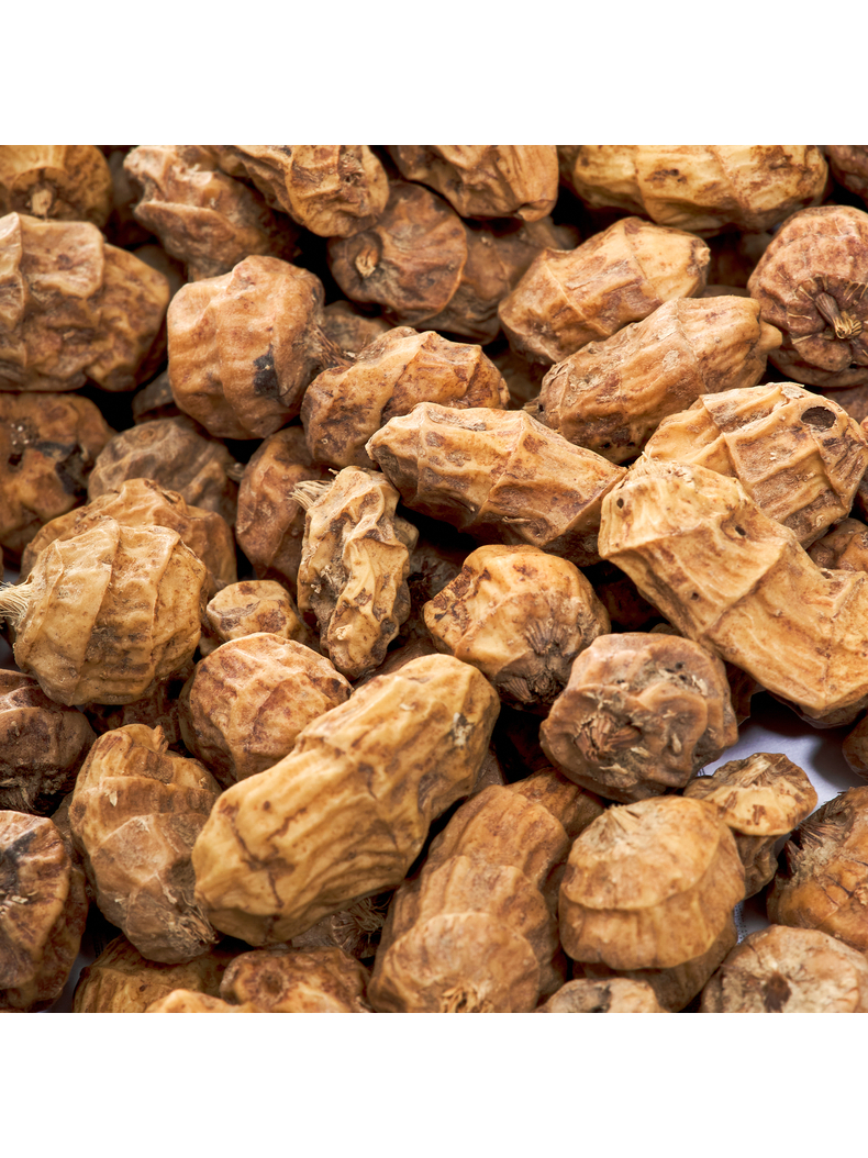 Тигровый орех Carptoday Tiger Nut, Вес: 5 кг, изображение 8 Тигровый орех Carptoday Tiger Nut, Вес: 5 кг, изображение 8