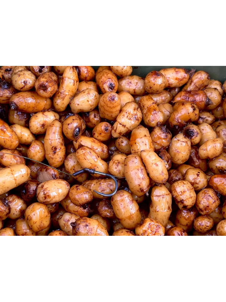 Тигровый орех варёный Carptoday Baits 900г целый, Тип зерновых: Целый тигровый орех, изображение 2