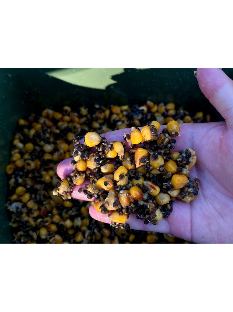 Зерновая смесь MIX №1 Carptoday Baits 1кг (Кукуруза, Конопля), Тип зерновых: Кукуруза + Конопля, изображение 2 Зерновая смесь MIX №1 Carptoday Baits 1кг (Кукуруза, Конопля), Тип зерновых: Кукуруза + Конопля, изображение 2