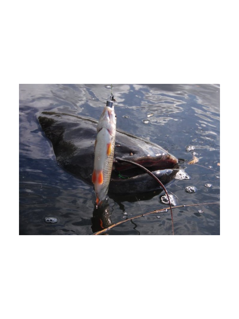 Готовая оснастка на сома MADCAT® A-STATIC SPIN & JIG SYSTEM - 110mm / 100g - №3/0, изображение 3 Готовая оснастка на сома MADCAT® A-STATIC SPIN & JIG SYSTEM - 110mm / 100g - №3/0, изображение 3