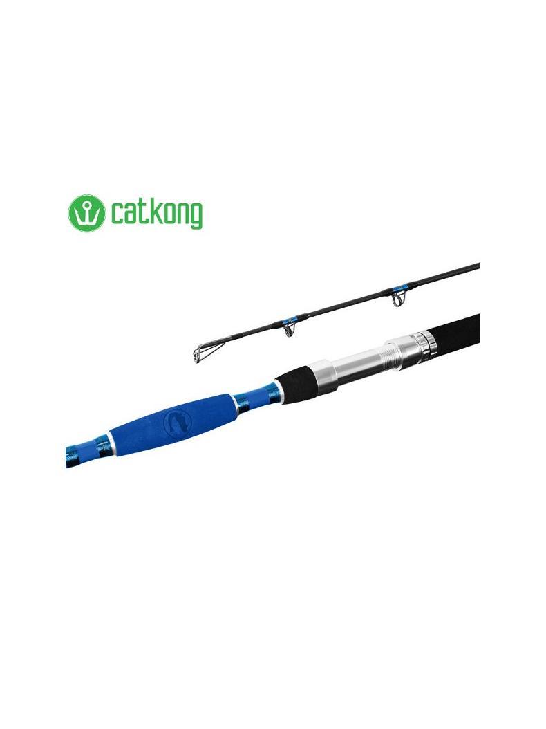 Удилища для ловли сома Delphin Catkong HAZARD - 2.85m / 500g