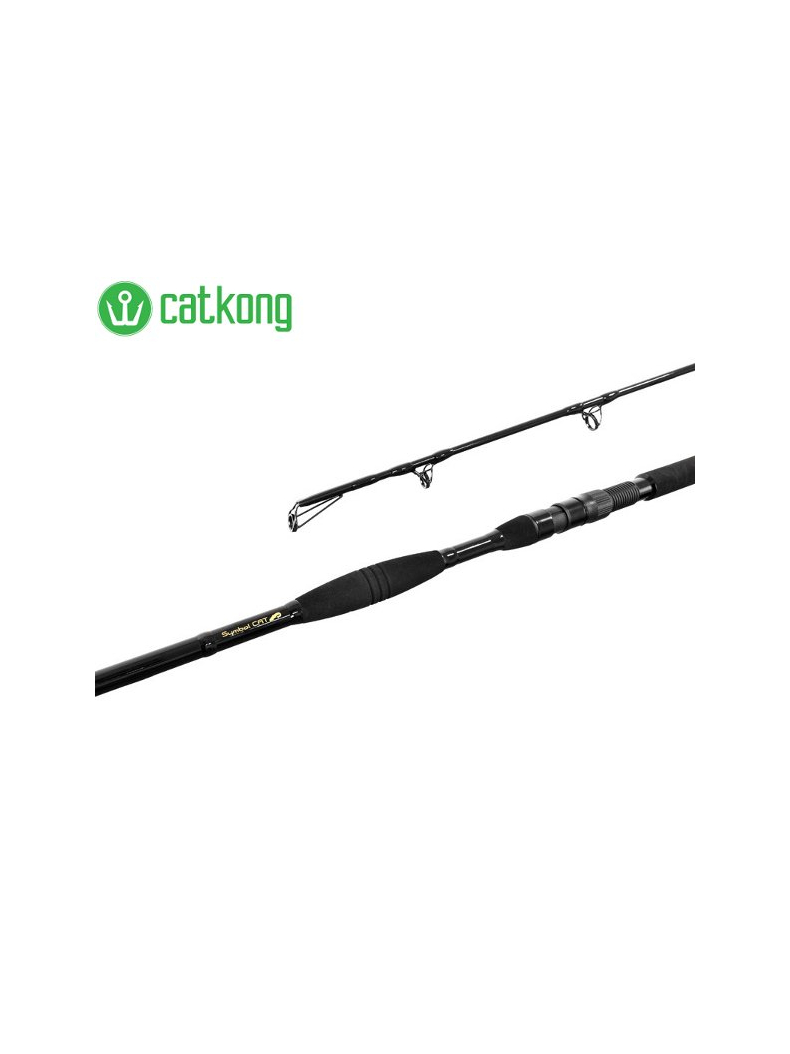 Удилища для ловли сома Delphin Catkong SYMBOL CAT - 2.55m/500g