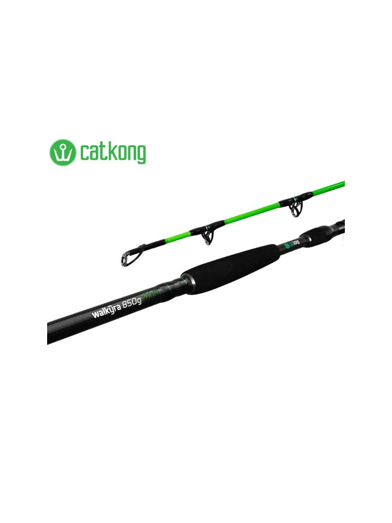 Удилища для ловли сома DELPHIN Catkong WALKYRA - 2.60m / 850g