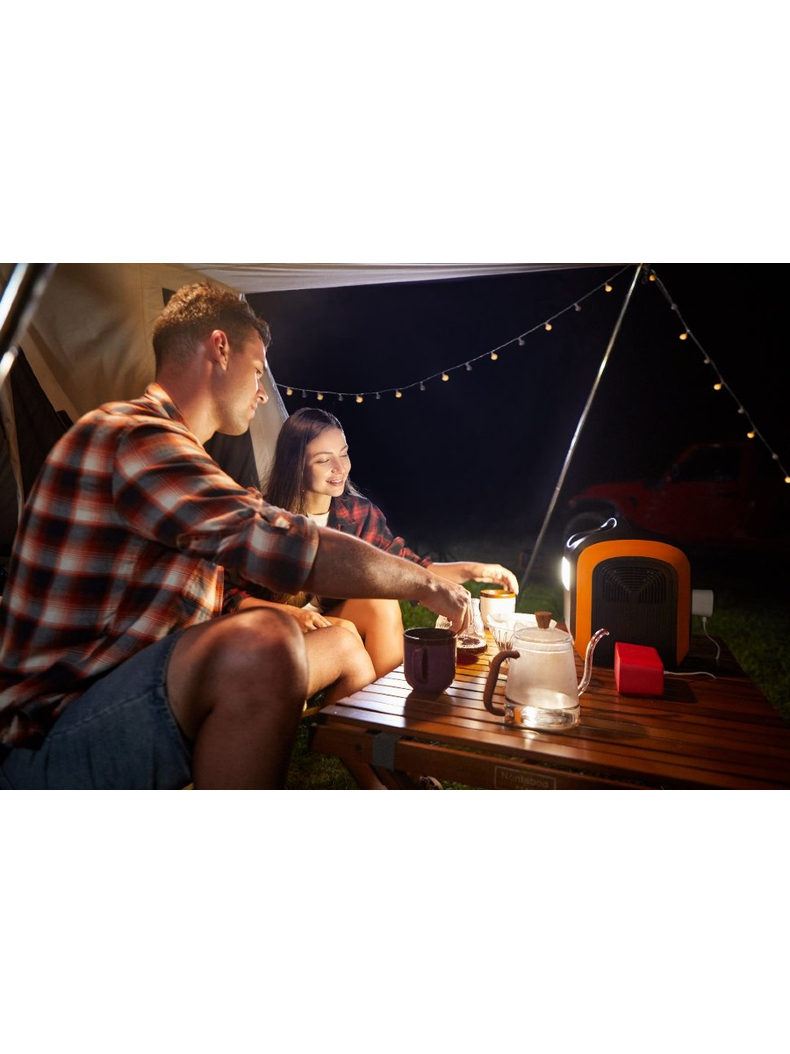 Портативная электростанция IPS-1200, изображение 11