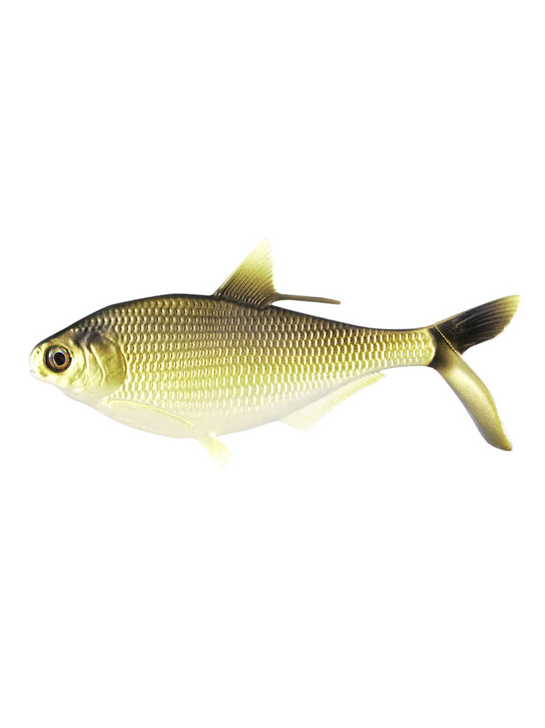 Мягкая приманка 13FISHING B.A.M.F. Shad 8"/ Gold Retriver Мягкая приманка 13FISHING B.A.M.F. Shad 8"/ Gold Retriver