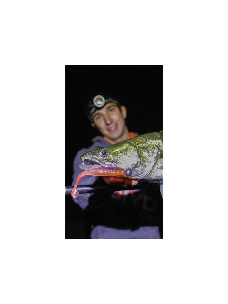 Виброхвост IRON CLAW Moby Softbaits SLIM JIM UV Non Toxic / 13cm / Mahi Mahi, изображение 5