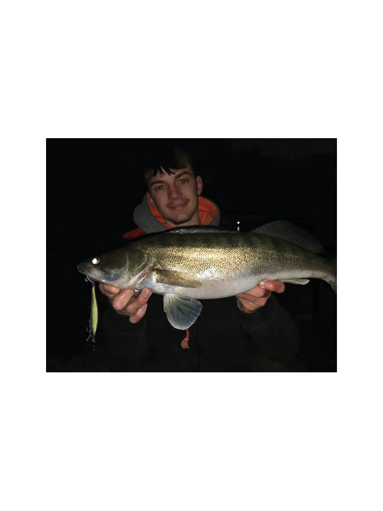 Воблер плавающий DOIYO YASETA 88 Hiratai - 8.8cm / 11g / 0.2-0.9m / NPC Nature, изображение 6 Воблер плавающий DOIYO YASETA 88 Hiratai - 8.8cm / 11g / 0.2-0.9m / NPC Nature, изображение 6