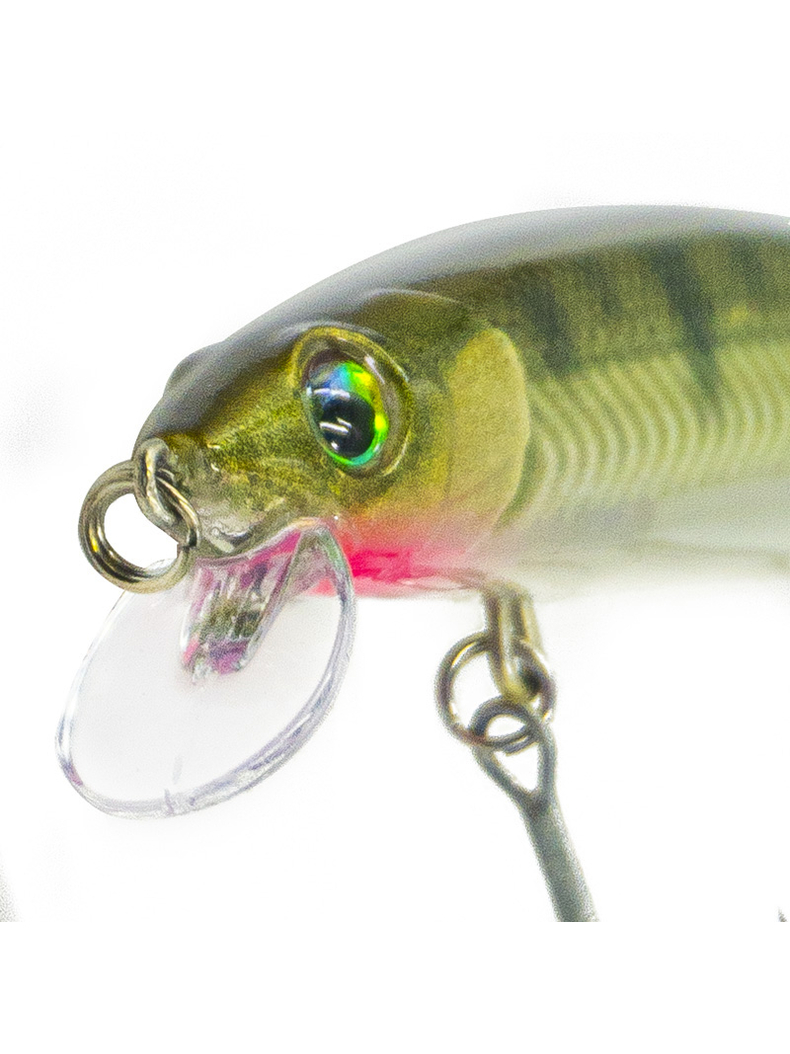 Воблер RAPALA Precision Xtreme Mavrik 110 /BBZ, изображение 2