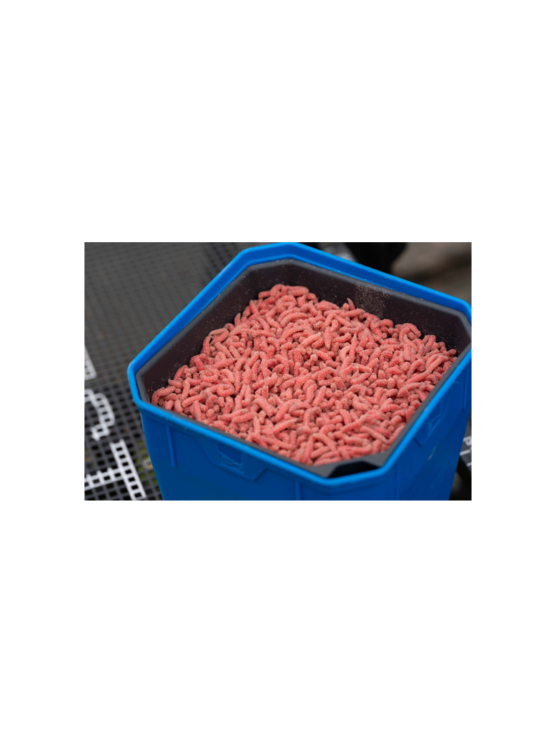 Вкладыш-сито для опарыша PRESTON Maggot Riddle 2 Pint, изображение 6