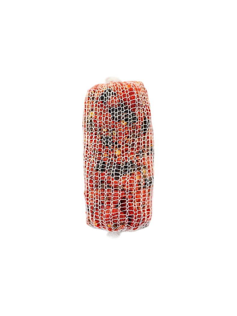 ПВА система с плунжером Carptoday PVA Abranet, Диаметр сетки: 20 мм, изображение 2