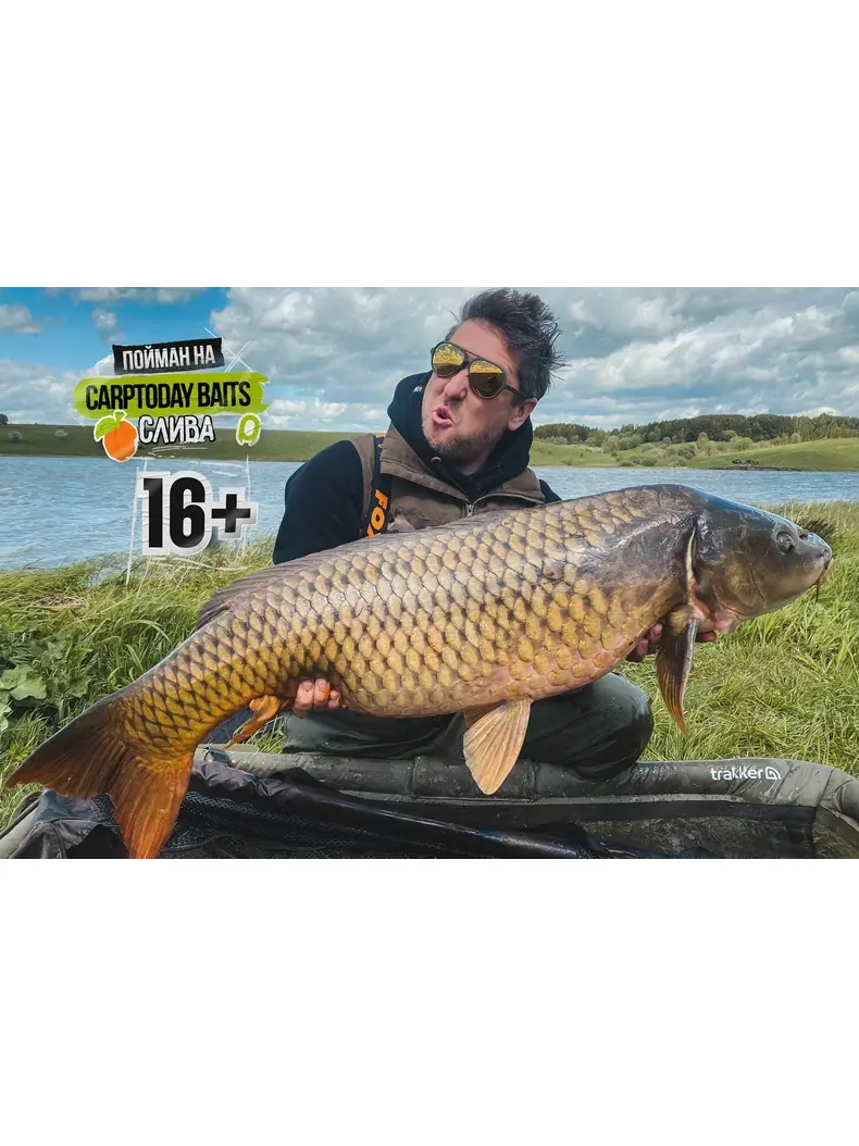 Бойлы Carptoday Baits Plum (Слива) 1кг 20 мм, Диаметр: 20 мм, Вкус: Слива, изображение 3