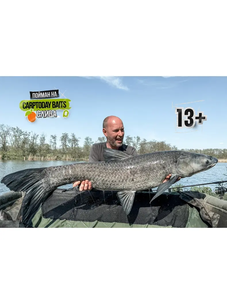 Бойлы Carptoday Baits Plum (Слива) 1кг 20 мм, Диаметр: 20 мм, Вкус: Слива, изображение 4