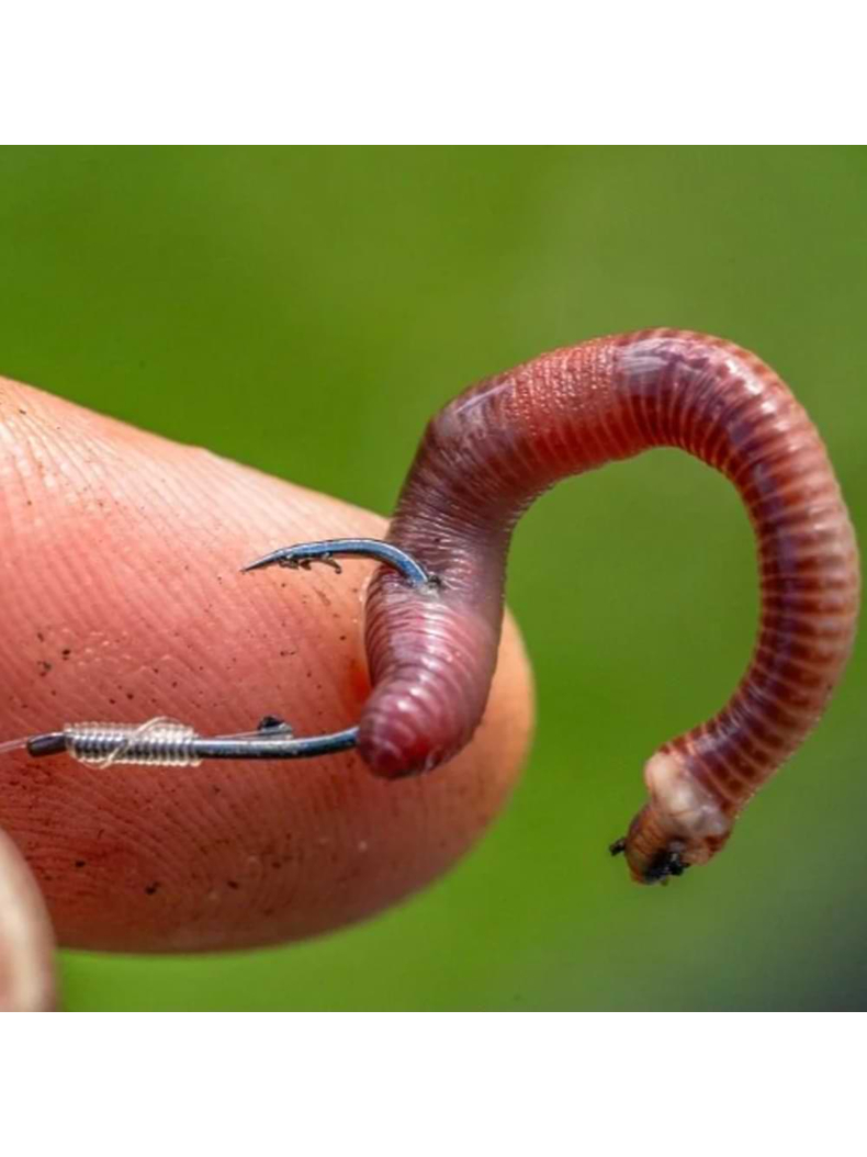 Крючки PRESTON Natural N-60, Размер крючка: № 10, изображение 6 Крючки PRESTON Natural N-60, Размер крючка: № 10, изображение 6