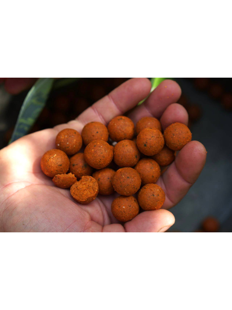 Бойлы Carptoday Baits Multi Fruit (Мульти Фрукт) 1кг 20мм, Диаметр: 20 мм, Вкус: Мульти Фрукт, изображение 3
