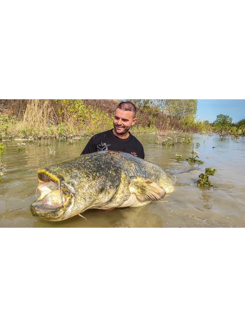 Удилища на сома UNI CAT SUPERIOR DOUBLE SPLASH 2+1 - 2.30-3.00m / 250-500g, изображение 2