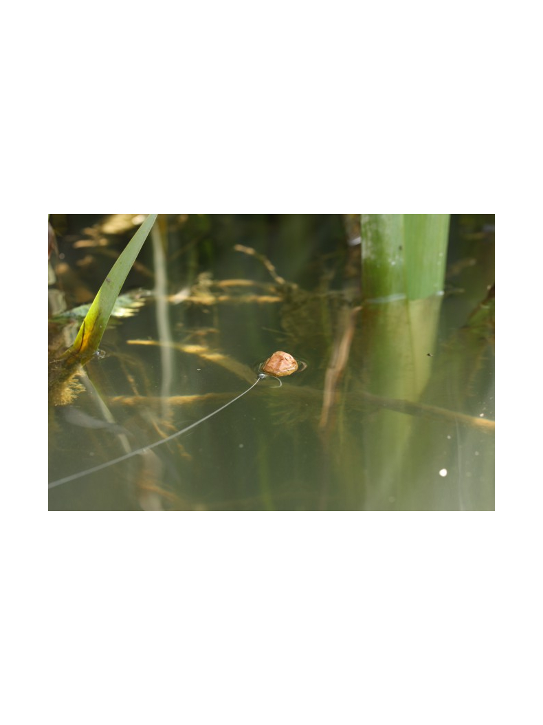 Леска Korda Kruiser Control, Тест: 6.00 lb, изображение 3