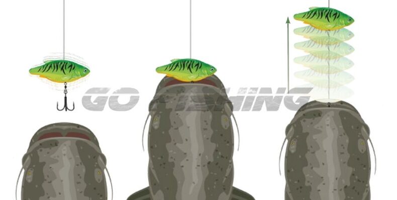 Блесна вертикальная MADCAT® INLINE RATTLER FIRETIGER UV - 90g — фото 3 — CARPshop