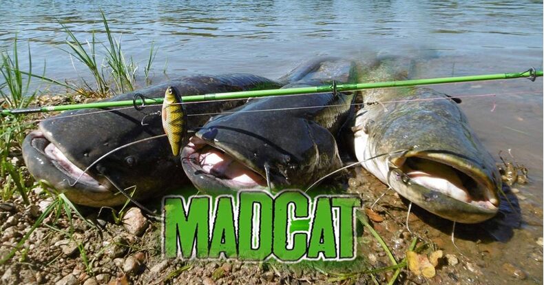 Воблеры MADCAT® INLINE RATTLER - 13cm - 90g - CANDY — фото 6 — CARPshop