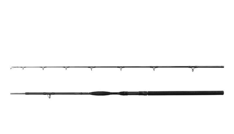 Удилища для ловли сома Delphin Catkong SYMBOL CAT - 2.55m/500g — фото 2 — CARPshop