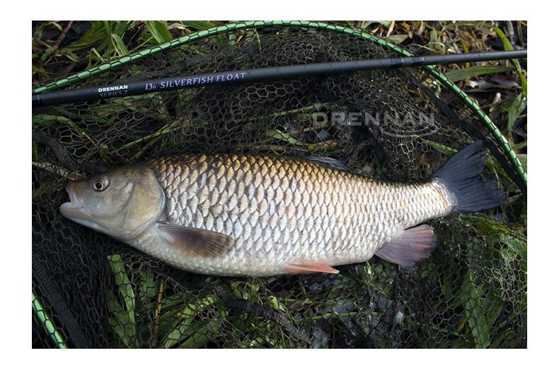 Удилище матчевое Drennan Series 7 Silverfish Float 13ft — фото 2 — CARPshop
