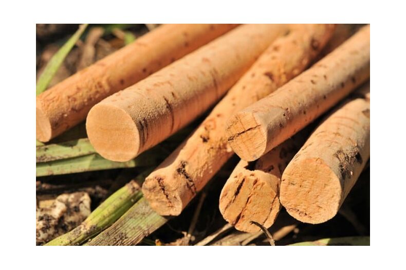 Набор из сверла и пробковых палочек Korda Drill & Cork Sticks