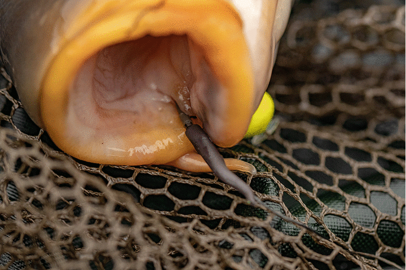 Силиконовый конус утяжеленный FOX Line Alignas Tungsten EDGES — фото 7 — CARPshop