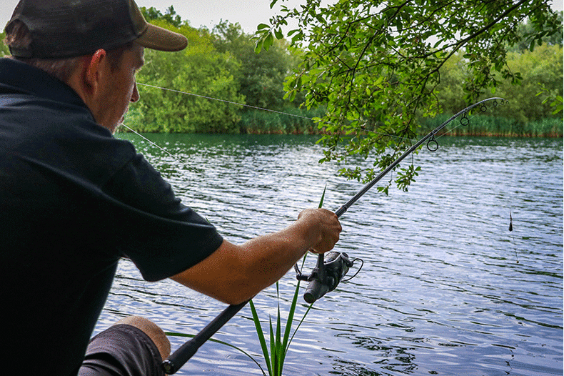 Удилище карповое FOX Explorer Rod 8-10ft 3.25lb Full Shrink — фото 10 — CARPshop