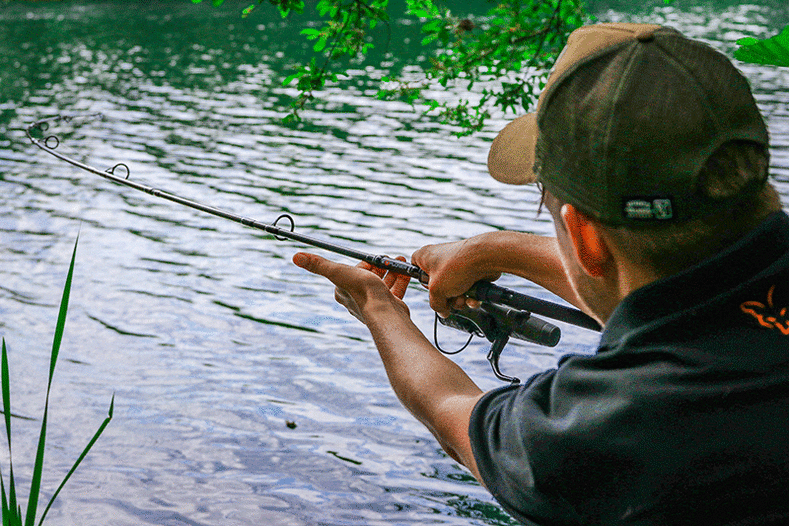 Удилище карповое FOX Explorer Rod 8-10ft 3.25lb Full Shrink — фото 12 — CARPshop