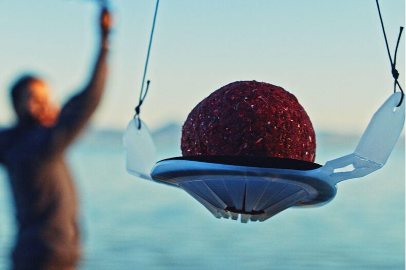 Диск для заброса шаров WOLF Fly Ball Sling