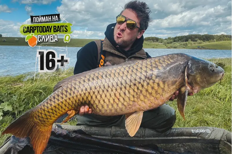 Бойлы Carptoday Baits Plum (Слива) 1кг 24мм — фото 2 — CARPshop