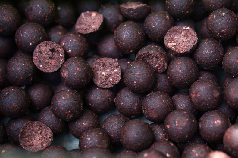 Бойлы Carptoday Baits Demon Spice (Острые Специи) 1кг 20мм — фото 3 — CARPshop