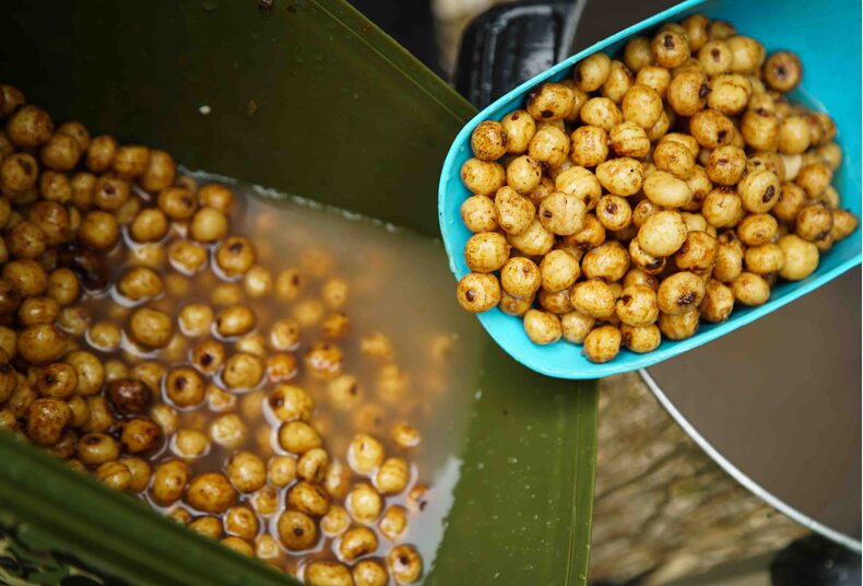 Тигровый орех Carptoday Tiger Nut