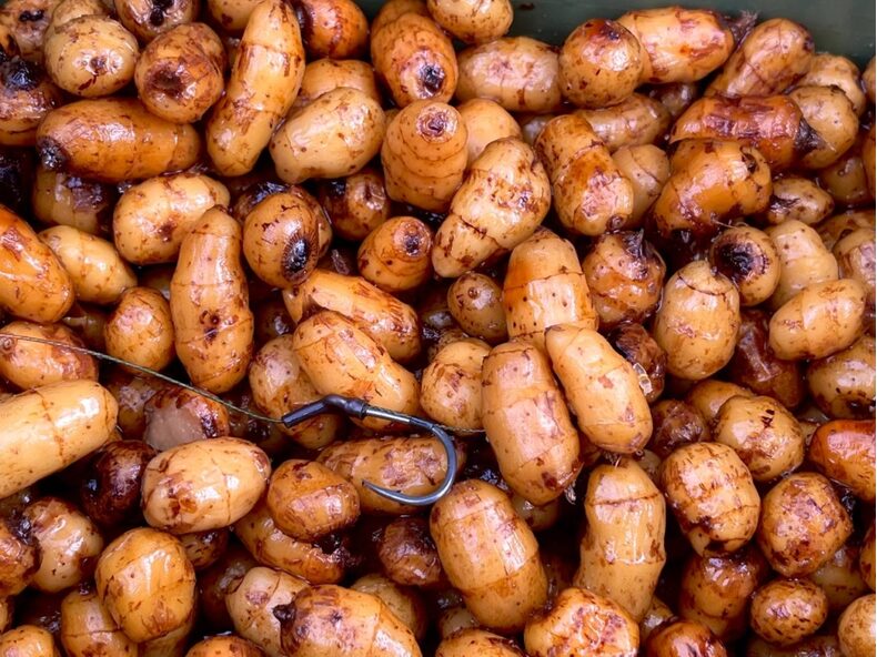 Тигровый орех варёный Carptoday Baits 900г целый — фото 2 — CARPshop