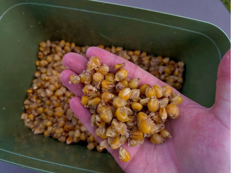Кукуруза натуральная варёная Carptoday Baits 1кг — фото 2 — CARPshop