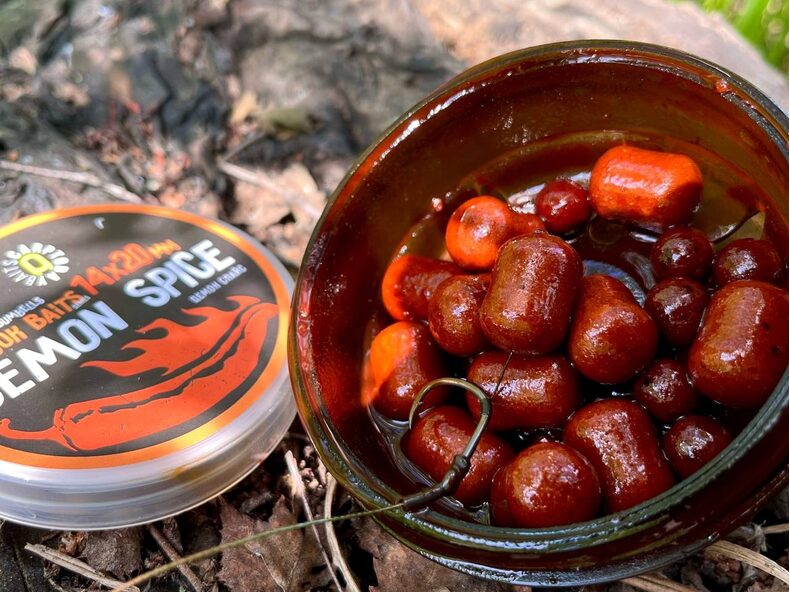 Дамбелсы насадочные Carptoday Baits Demon Spice (Острые Специи) 14х20мм — фото 5 — CARPshop