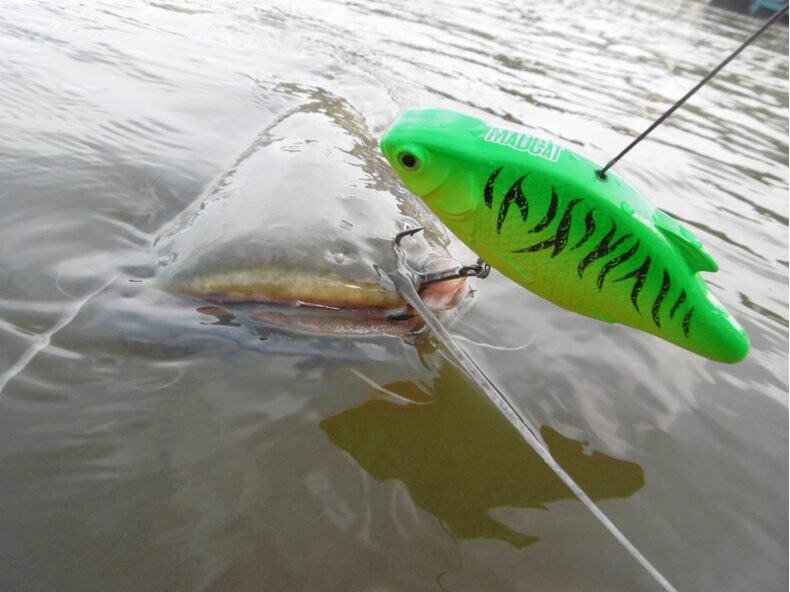 Воблеры MADCAT® INLINE RATTLER - 13cm - 90g - CANDY — фото 5 — CARPshop