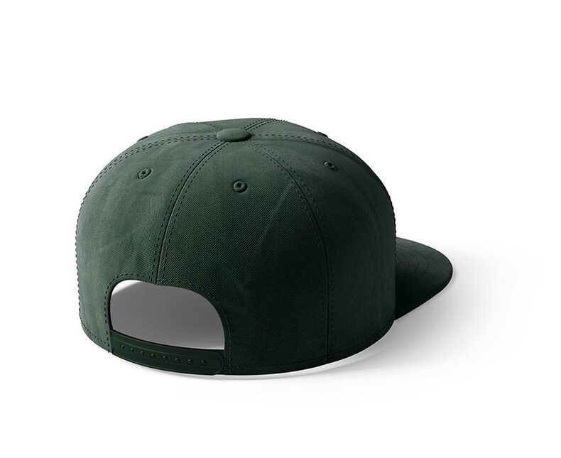 Кепка Carptoday Snapback Cap CARP Green & Gold Logo — фото 2 — CARPshop