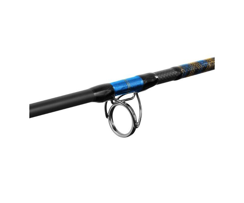Удилища для ловли сома Delphin Catkong HAZARD - 2.55m / 500g — фото 3 — CARPshop