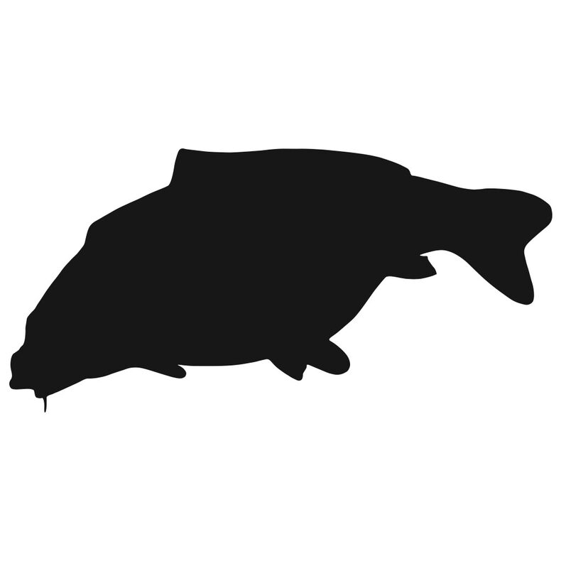 Наклейка Карп черный 12х6 см Carptoday для карпфишинга — CARPshop