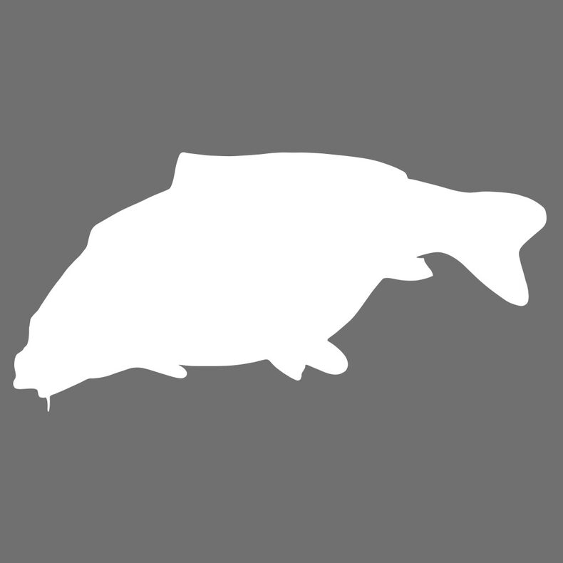Наклейка Карп белый 12х6 см Carptoday для ловли карпа — CARPshop