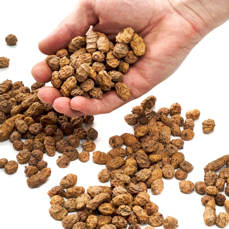 Тигровый орех Carptoday Tiger Nut
