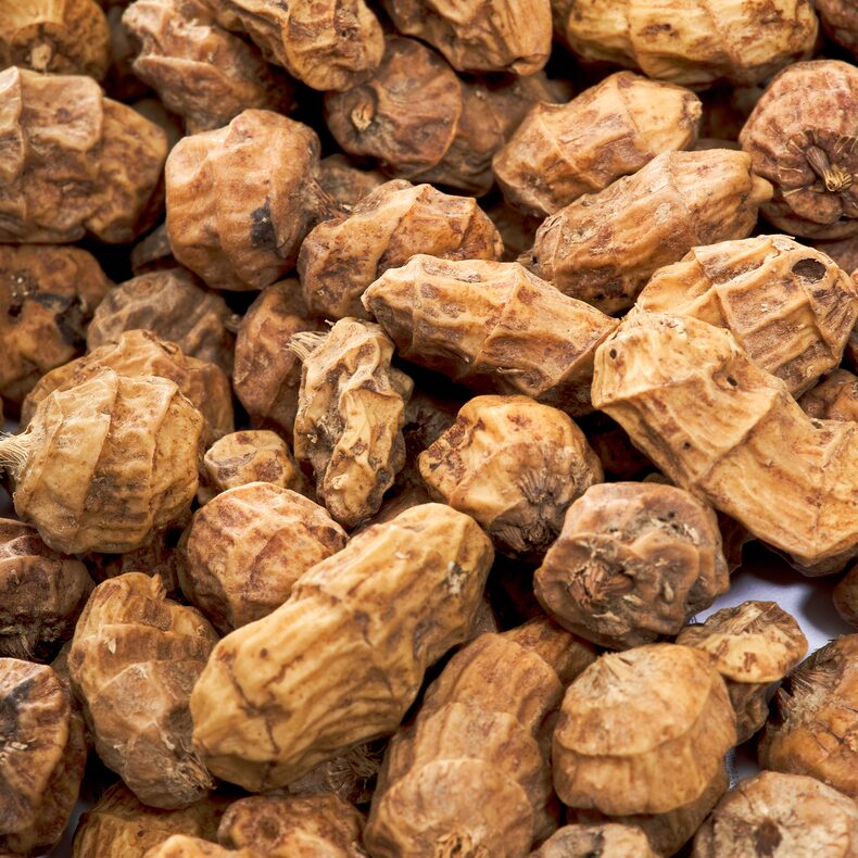 Тигровый орех Carptoday Tiger Nut