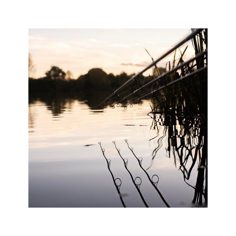 Удилище карповое NASH X Series Rod 10ft 3.00lb — фото 10 — CARPshop