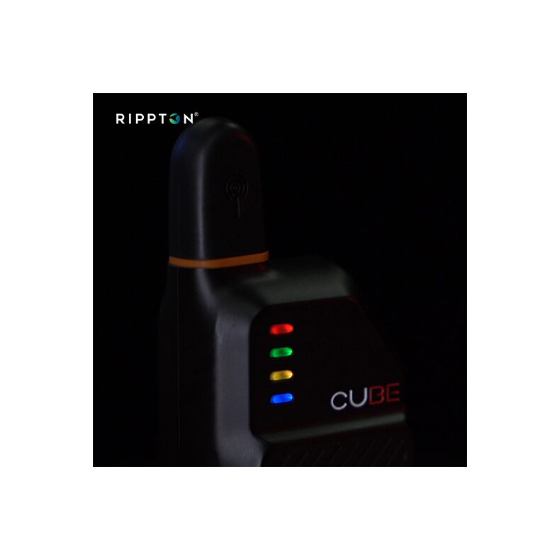 Набор сигнализаторов поклёвки RIPPTON BITEKEEPER CUBE 4+1 — фото 11 — CARPshop